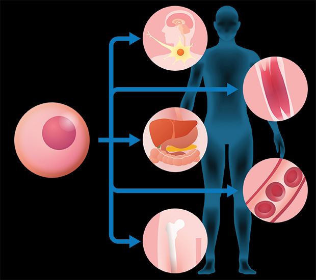 Ooltewah Regenerative Medicine